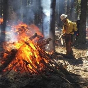 Meet your Posher, Nathan